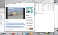 Screen shot 2018-01-19 at 12.35.39 PM